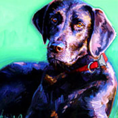 black Labrador dog nature illustration by Kristen Funkhouser.