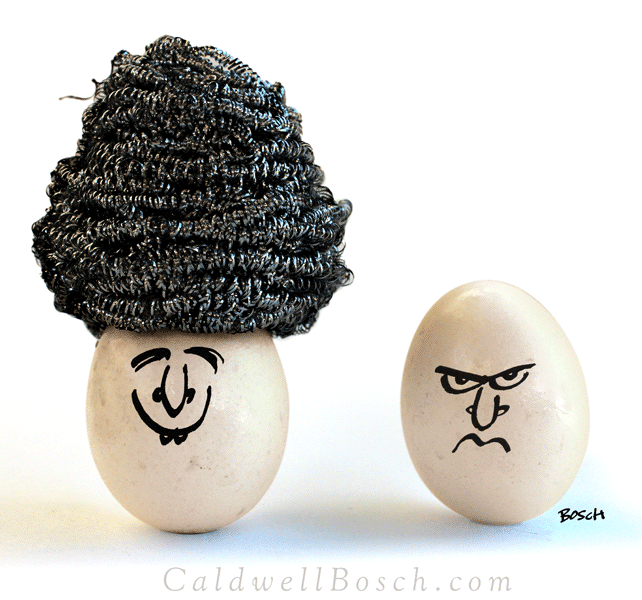Two eggs, one with a steel-wool wig.
