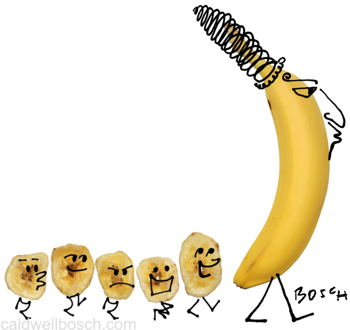 Animated photo/line drawing of a mother banana and her banana chip kids.
