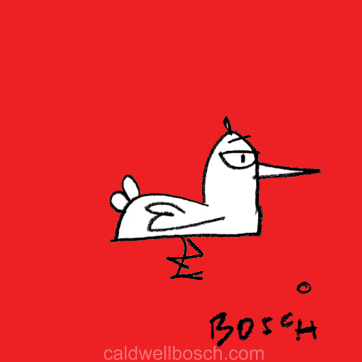 An animated line illustration of a chicken.