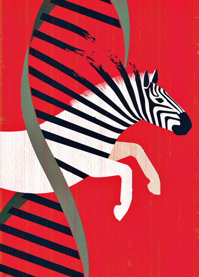 are genetic diseases can be referred to as "zebras" in the medical community