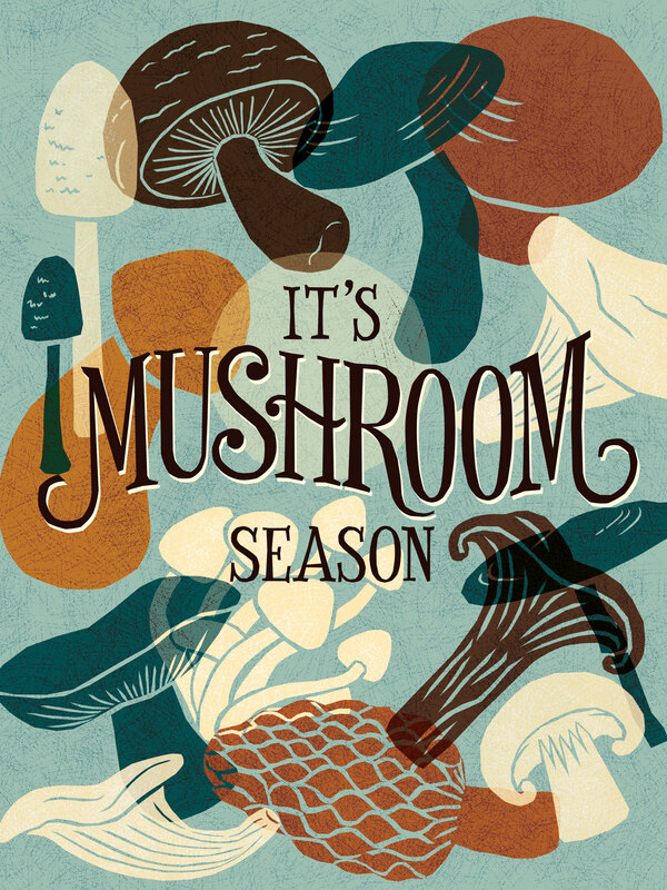 Composition of different kinds of mushrooms as papercut silhouettes with a serif hand lettering saying It's Mushroom Season.
