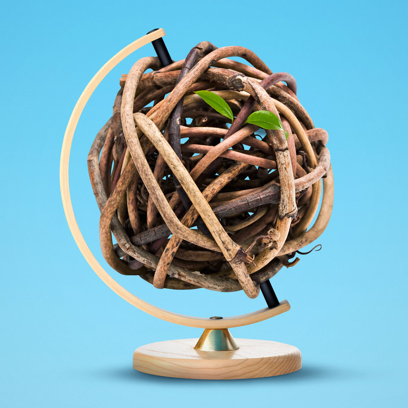 An illustration by Mariaelena Caputi showing a globe made of tangled branches and two lone leaves that bravely manage to sprout from one of them.