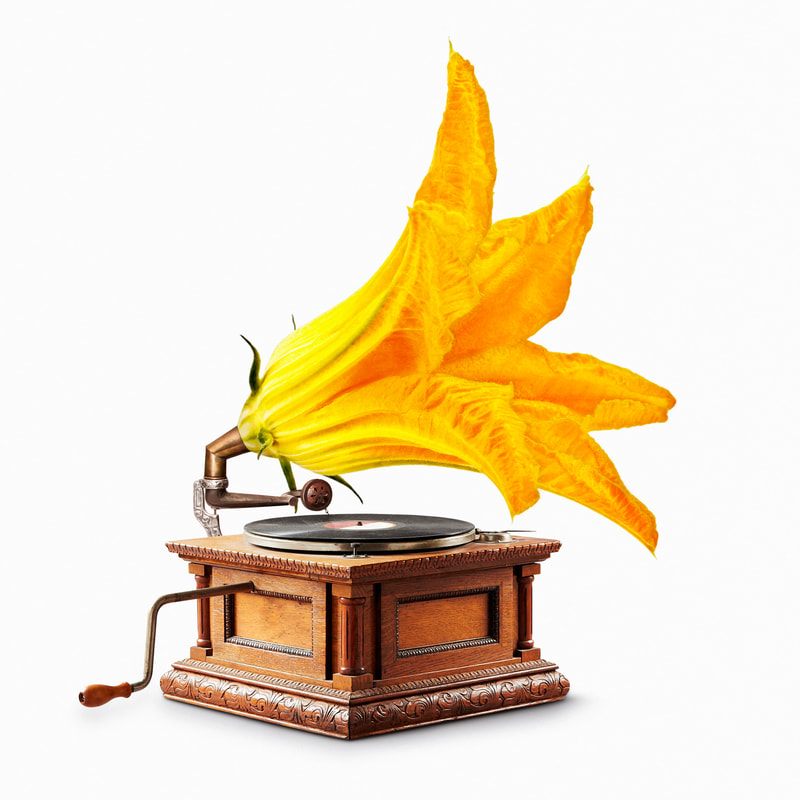 An illustration by Mariaelena Caputi depicting a gramophone whose trumpet is replaced by a yellow cone-shaped flower. It is a tribute to spring, which returns every year to warm our hearts.