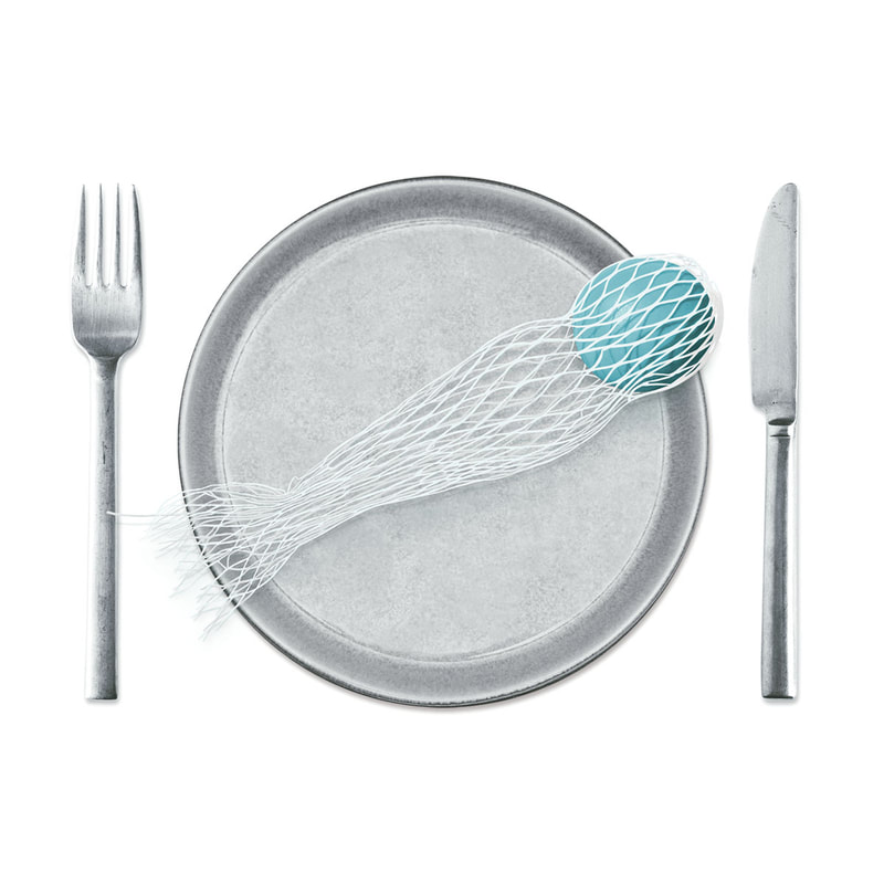 An illustration by Mariaelena Caputi of a plastic fish served in a dish.