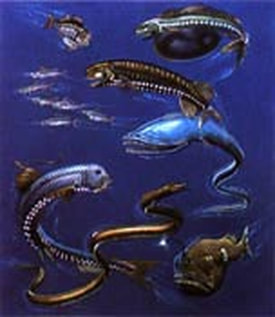 deep-sea fish, nature illustration by Walter Stuart.
